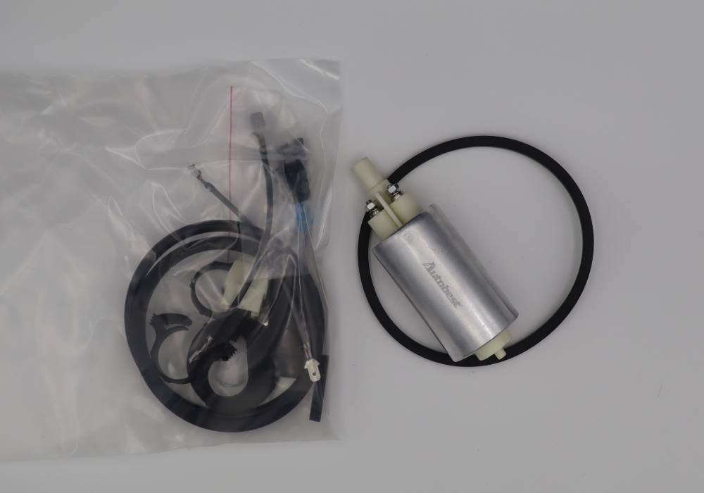 Low pressure in-tank fuel pump, FPLP